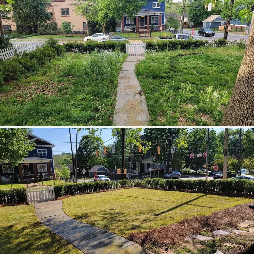 Overgrown front yard brought back to a mowed lawn near Grant Park