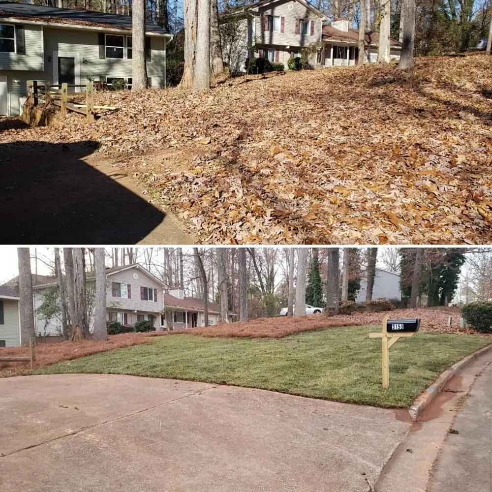 Front yard before and after sod installation