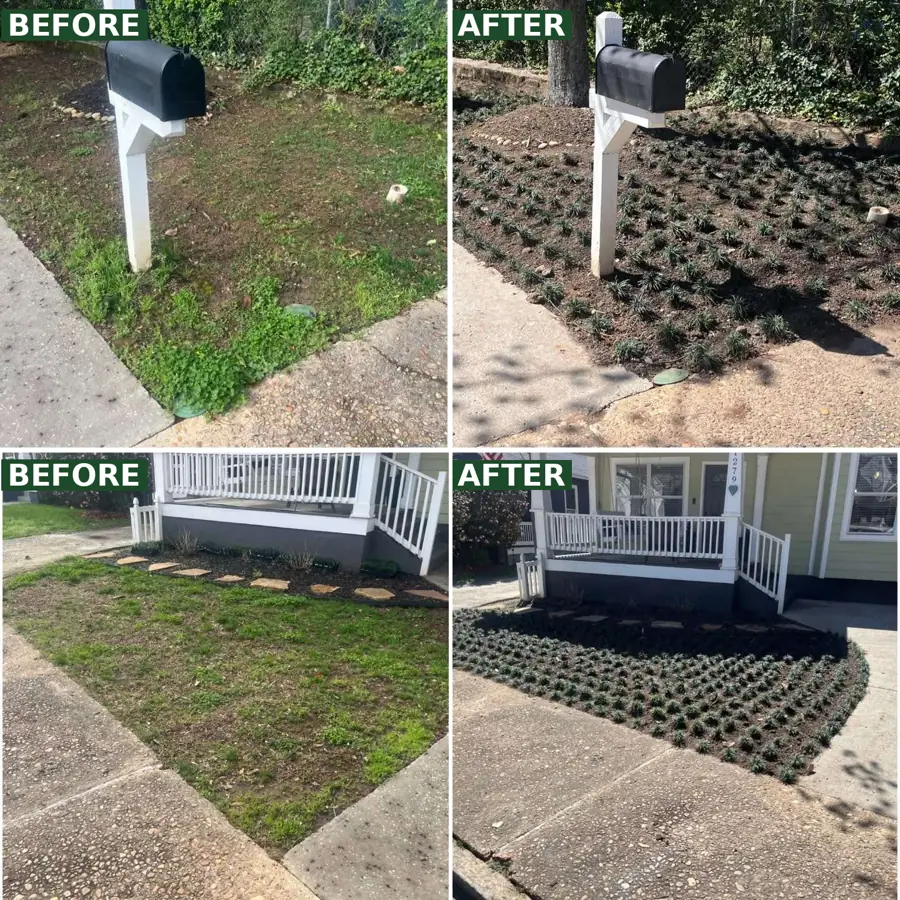 Two Kirkwood front yards before and after planting