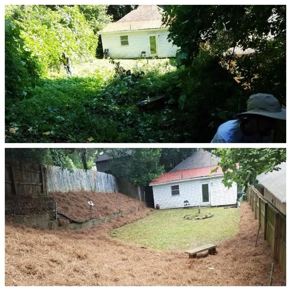 Overgrown backyard before and after cleanup
