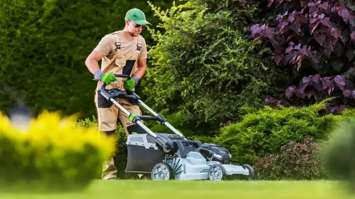 Grant mowing a front lawn with an electric mower